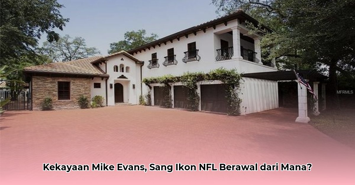mike evans net worth